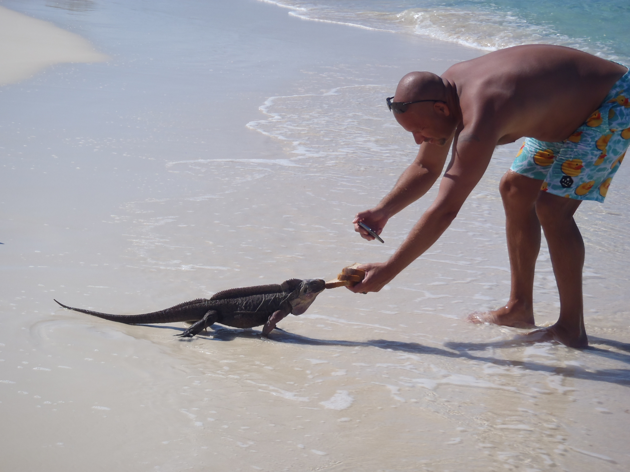 Patrick_Iguana_Cheese