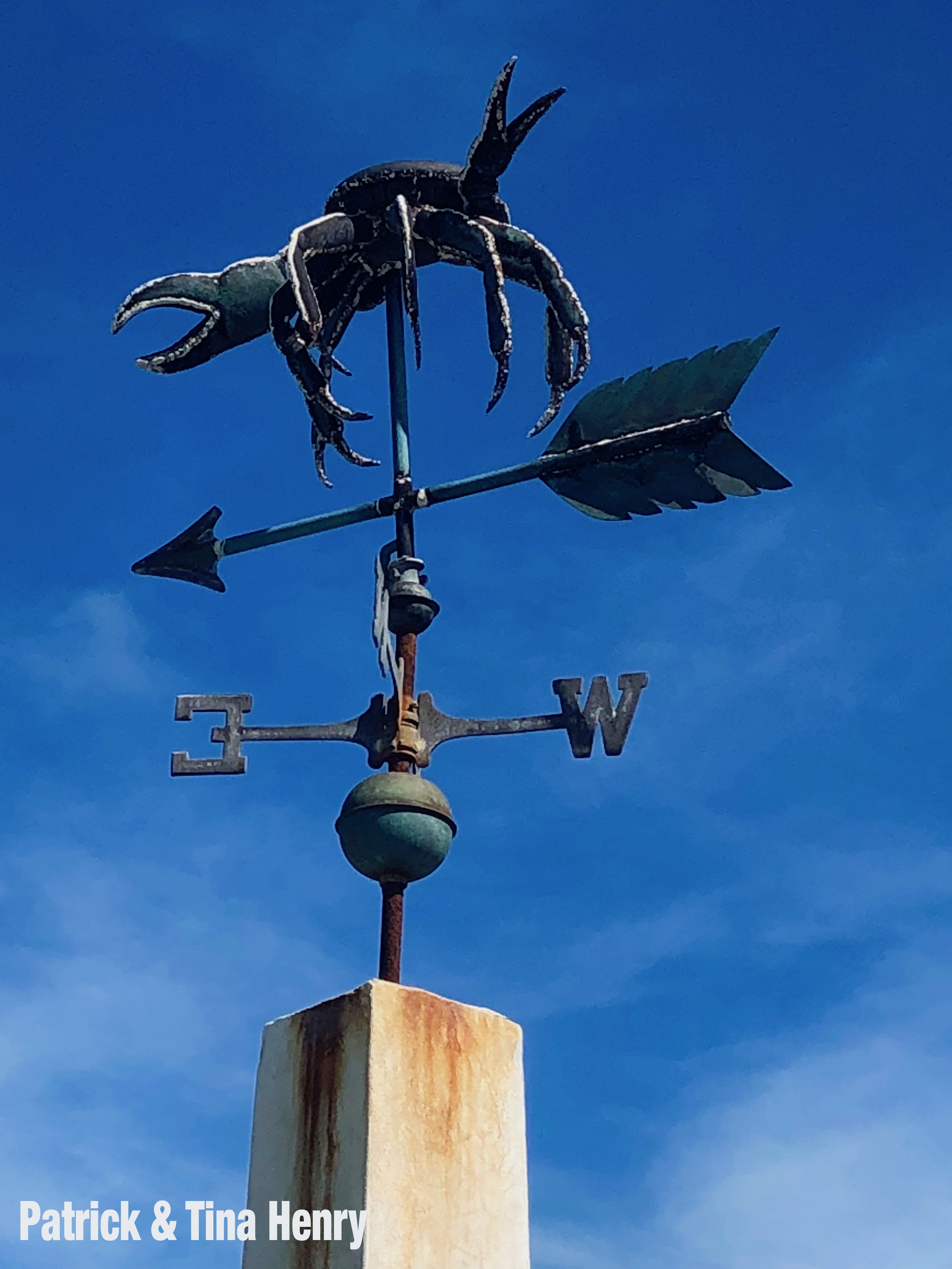 Tropic_Of_Cancer_Crab_PTH